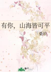 山海皆有情上一句