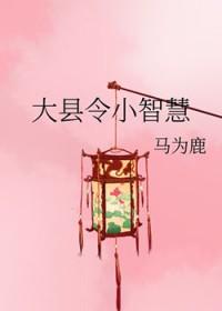 大县令小仵作txt文心