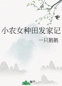 小农女发家史完整版