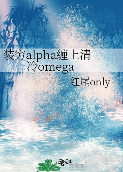 装穷完结文