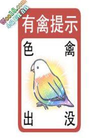 女生贴纸大全100种