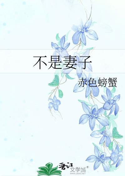 不是夫妻的夫妻