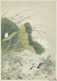 野有蔓草肉形石最新章节