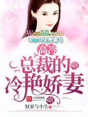 高冷总裁宠妻狂魔