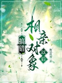 相亲对象出了错txt