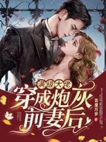 满级大佬穿成炮灰后摆烂了