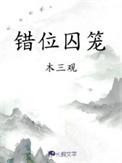 错位囚笼番外