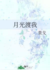 月光渡我景戈番外txt