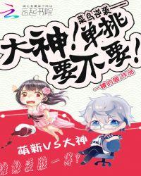 菜鸟玩家喜欢大神玩家讨厌的英雄