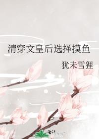 清穿后宫妃子
