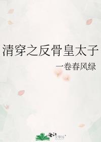 清穿之反骨皇太子番外