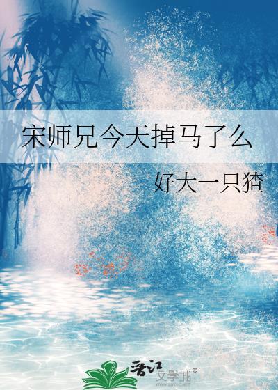 宋师兄是谁