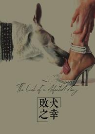 败犬第9卷免费阅读