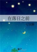 在落日之前最新章节txt