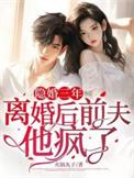 隐婚三年离婚后傅总被大佬