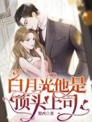白月光算什么前妻是顶流免费阅读