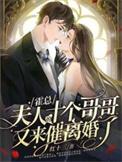 霍总夫人跑了