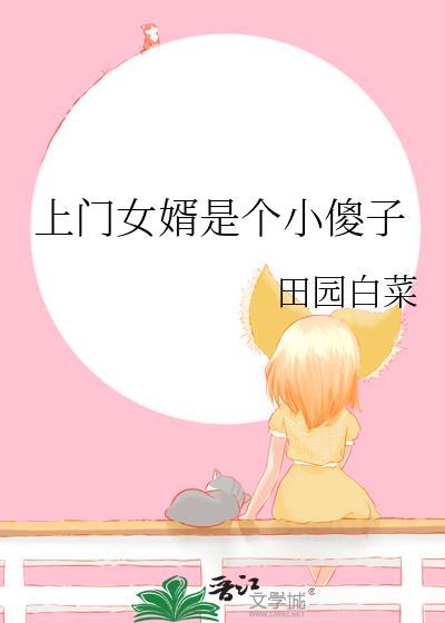 上门傻婿