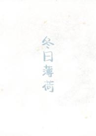 冬日薄荷TXT附带番外