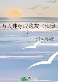 万人迷穿成炮灰女配晋江