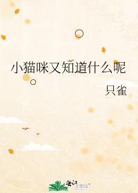 小猫有什么本领
