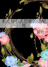 中式术式指哪些