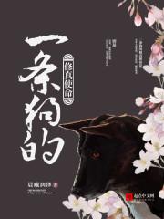 一条狗的漫漫修行路