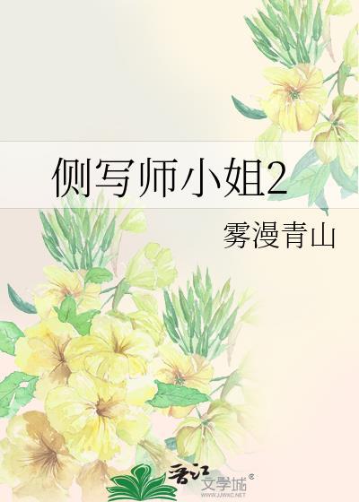 侧写师小姐2多少字