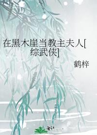 黑木崖副教主