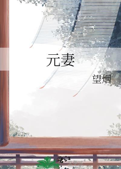 元妻晋江文学城
