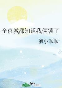 全京城都知道我们俩锁了txt