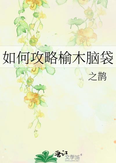 榆木脑袋记忆宝珠完美