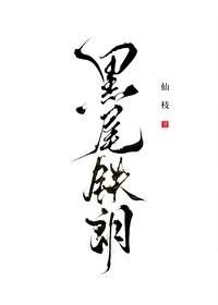 排球少年黑尾剧情