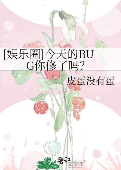今天的Bug你修了吗txt