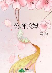 公府长媳好看吗