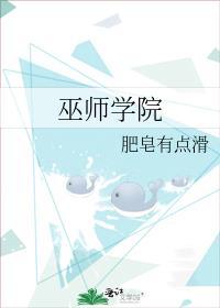 巫师学派