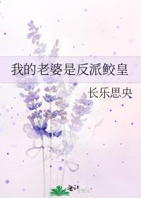 我的老婆是反派动漫