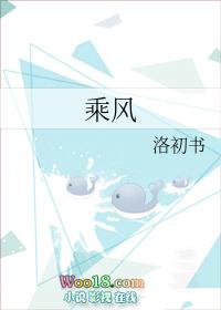 乘风破浪2026在线观看免费完整版