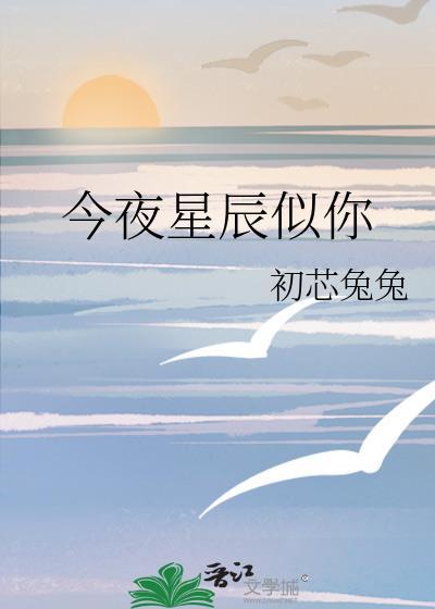 今夜星辰似你傅夜沉免费阅读