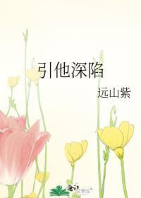 引他深陷 作者远山紫讲什么