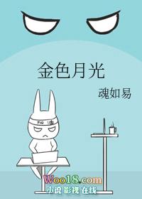 金色月光TXT免费阅读