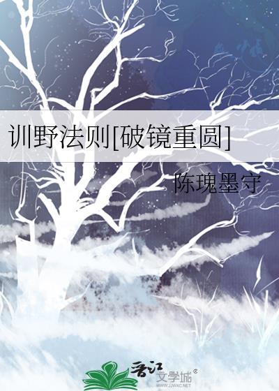 训野法则破镜重圆全文免费阅读