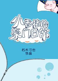 小香猪的杂谈屋