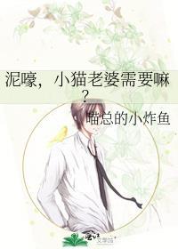 猫猫老婆人物关系