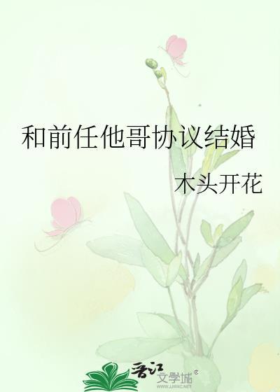 和前任他哥HE了