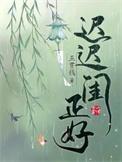 迟迟闺正好简介