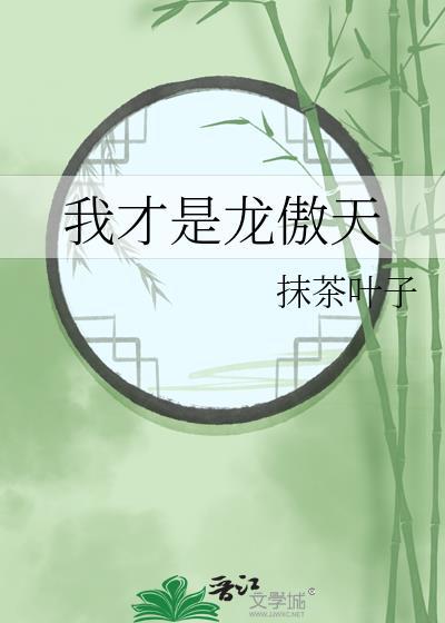 我才是龙傲天TXT