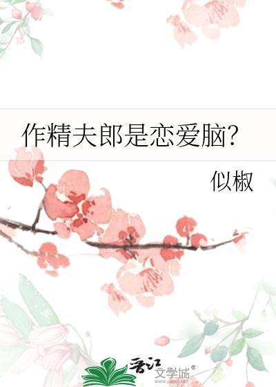 作精小夫郎Seelight起点阅读