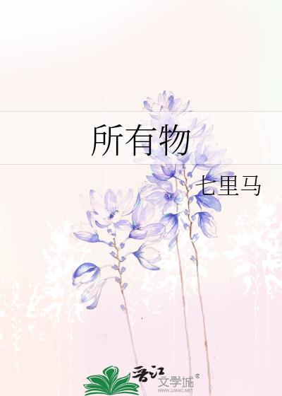 所有物料提升机应有下列安全装置