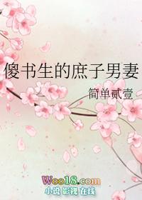 傻书生的庶子男妻格格党